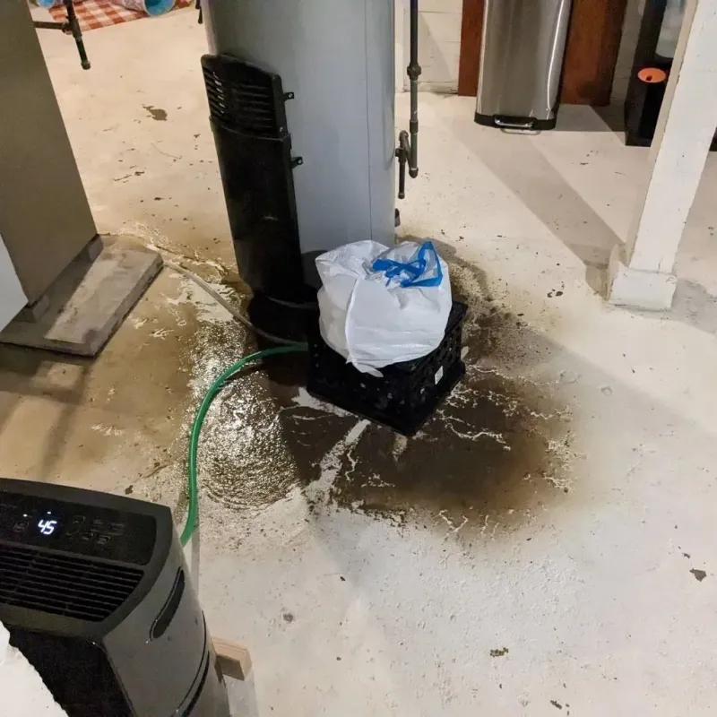 Sewage Backup Cleanup Service in Port Orford, OR